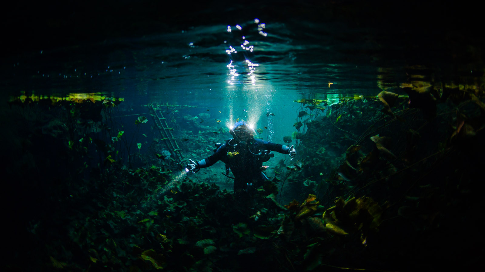 Tulum Underwater